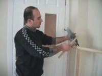 Papağan Eğitimi Teknikleri Papağan Eğitimi Teknikleri